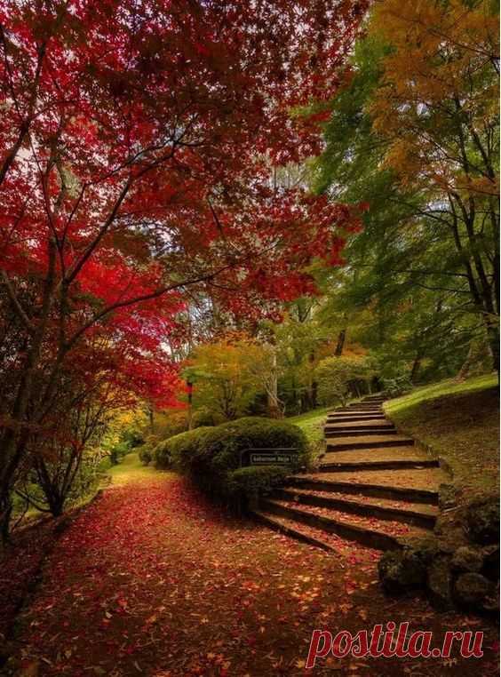 Pinterest