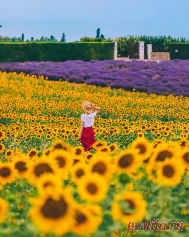 Города и природа на снимках Мэри Куинси Мэри Куинси (Mary Quincy) — талантливая фотограф-самоучка и путешественница, в настоящее время проживающая в Париже, Франция. Она фокусируется на путешествиях, пейзажах и уличной фотографии. Мэри путешествует по всему миру, чтобы запечатлеть яркие городские и природные пейзажи. Своими работами Куинси делится в Instagram, где у нее более 156 тыс. подписчиков. ...