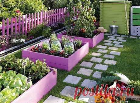 15 полезных советов для дачи