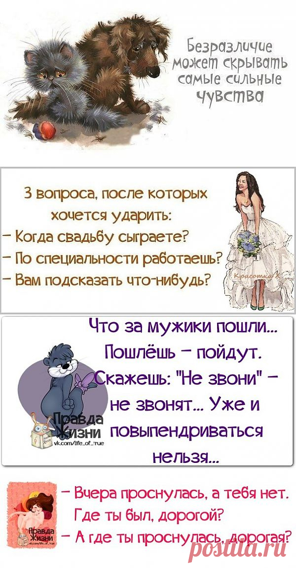 Позитивные, веселые фразочки в картинках.