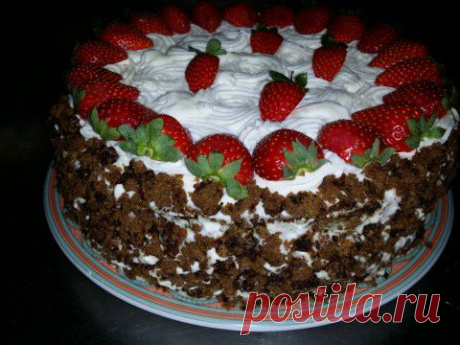 ТОРТ &quot;МИШКА&quot;. МОЙ САМЫЙ-САМЫЙ ЛЮБИМЫЙ. | Давай поговорим