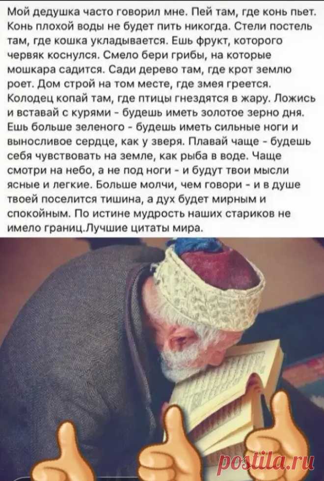 Лучшие  цитаты!!