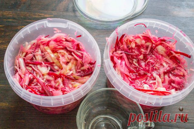 Квашенная капуста с хреном и свеклой — Ботаничка