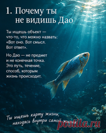 Притча о рыбе в океане

Представь рыбу, которая однажды спрашивает:
«Где океан? Я хочу его найти. Я хочу понять, зачем он существует и куда мне плыть, чтобы наконец оказаться в нём».
Она плывёт всё дальше. Ищет особое место, знак, границу океана.
Но рыба не замечает самого очевидного: она всё это время находится в воде.
И с человеком может происходить нечто похожее.