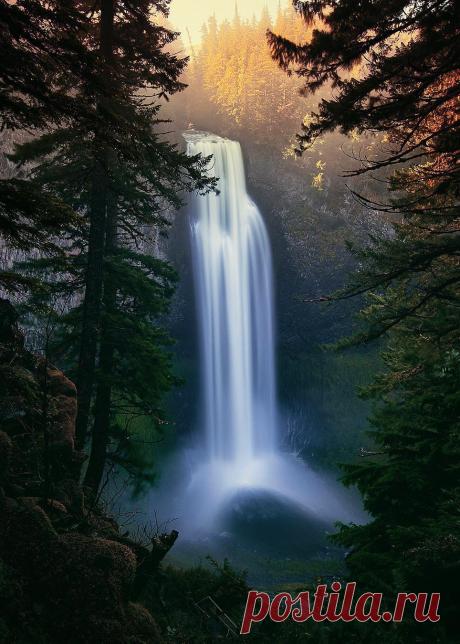 coiour-my-world:
“Salt Creek Falls, Willamette Pass ~ @vincentjamesphotography
”