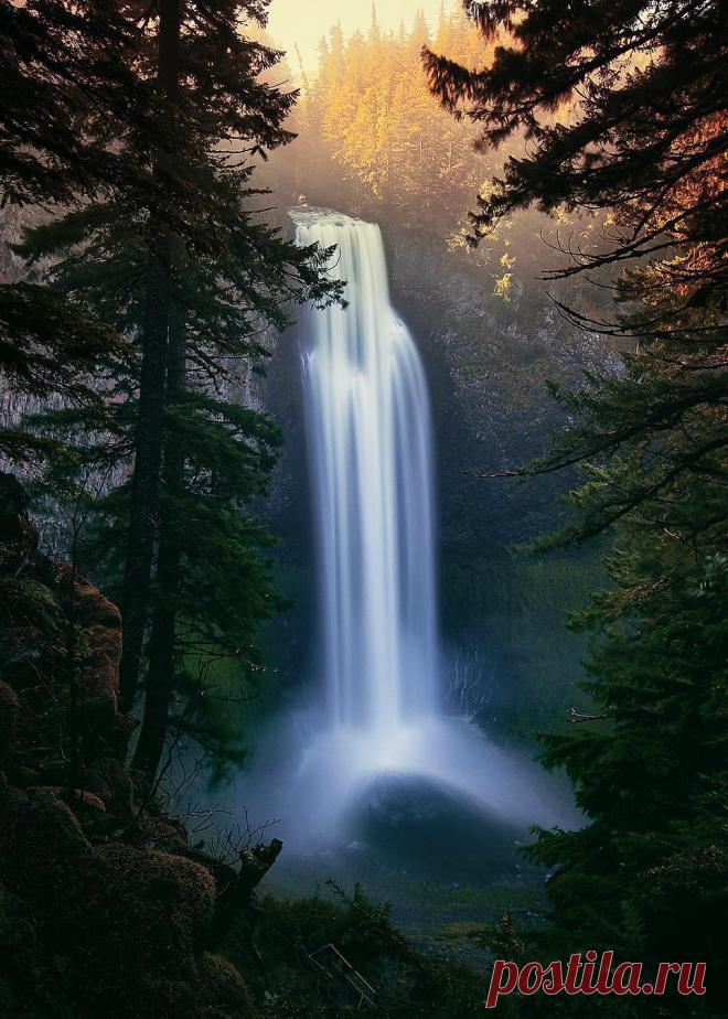 coiour-my-world:
“Salt Creek Falls, Willamette Pass ~ @vincentjamesphotography
”