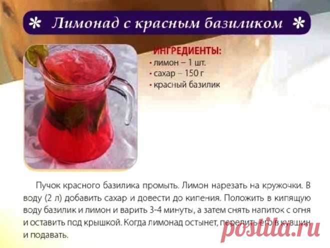 Лимонад с красным базиликом