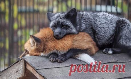 В теплых объятиях