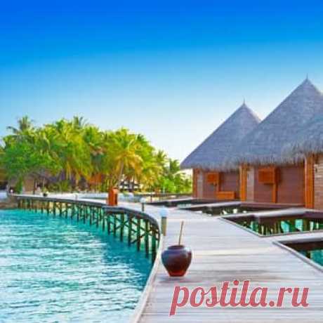 Бронирование отелей и гостиниц онлайн, сравнение цен в 67 агентствах на hotellook
