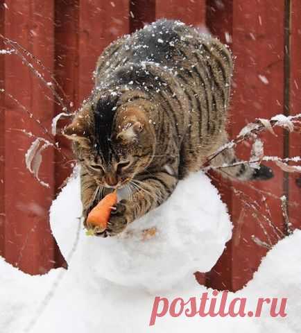 хх