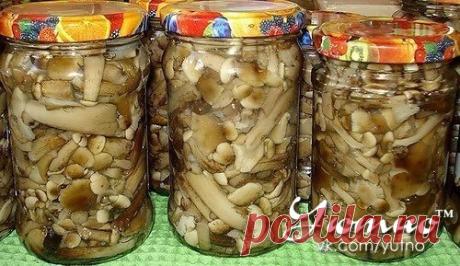 Стена | ВКонтакте