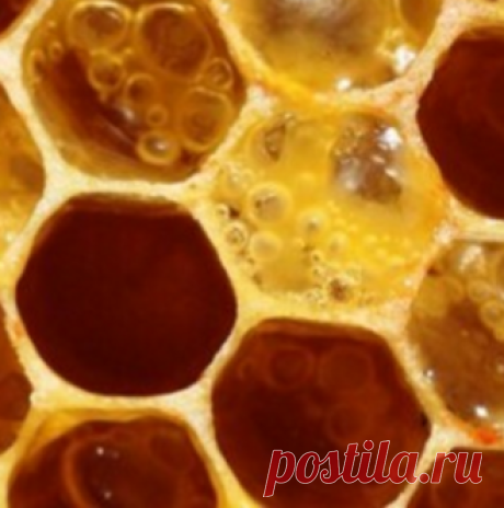 Мой Мир@Mail.Ru