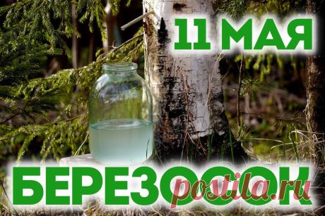 С Березосоком! Здоровья, ясного неба и добрых вестей! Открытки на Березосок!