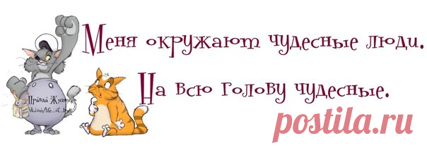 Прикольные фразочки в картинках.