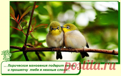Хорошего Вам настроения.