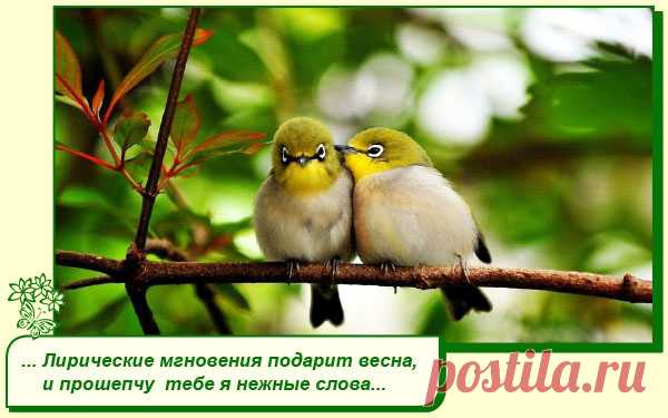 Хорошего Вам настроения.
