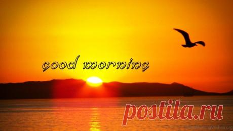 good morning: 10 тыс изображений найдено в Яндекс.Картинках