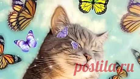 VID-20200418-WA0003.mp4
