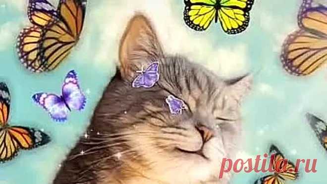 VID-20200418-WA0003.mp4