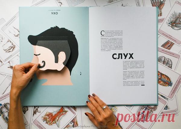 Как устроен человек? Анатомический атлас с клапанами и секретами