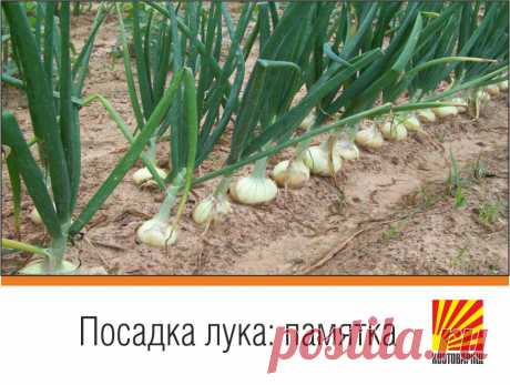 Новости - МирТесен