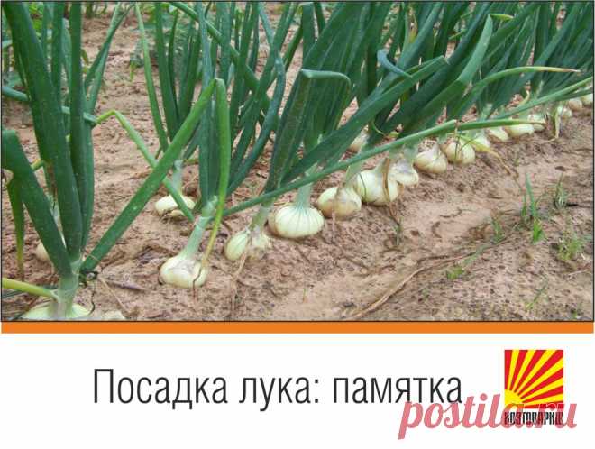 Новости - МирТесен