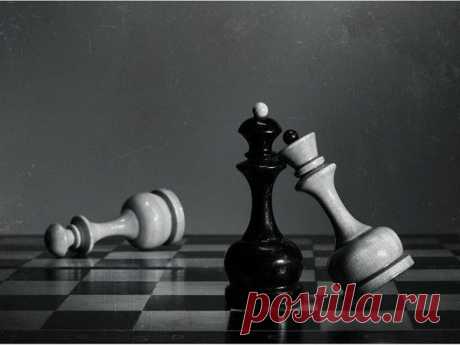 Нельзя возвращаться к предателям. Нельпредали. / Спорт Сильных!