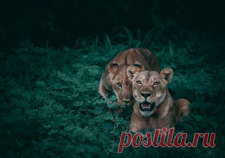 Фотографии КУЧА КЛАССНЫХ КАРТИНОК - 10000 фото в Моем Мире.