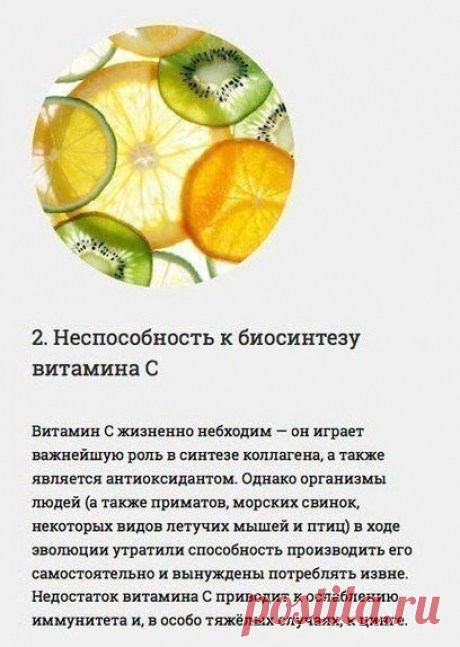 Интересные факты о нашем организме. &quot;Инженерные ошибки&quot; человеческого организма.