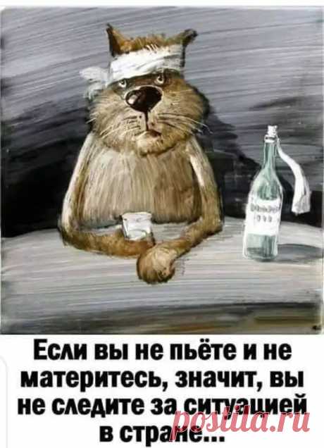(1) Подборка анекдотов на злободневные темы - Сказка для двоих - 21 декабря - 43767576997 - Медиаплатформа МирТесен