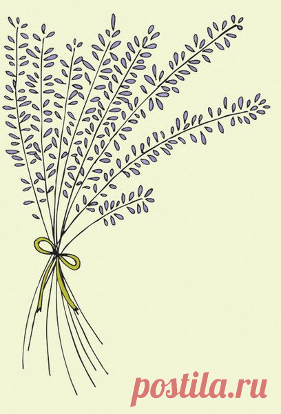 Wednesday Doodle: Bunch of Lavender