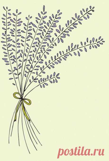 Wednesday Doodle: Bunch of Lavender