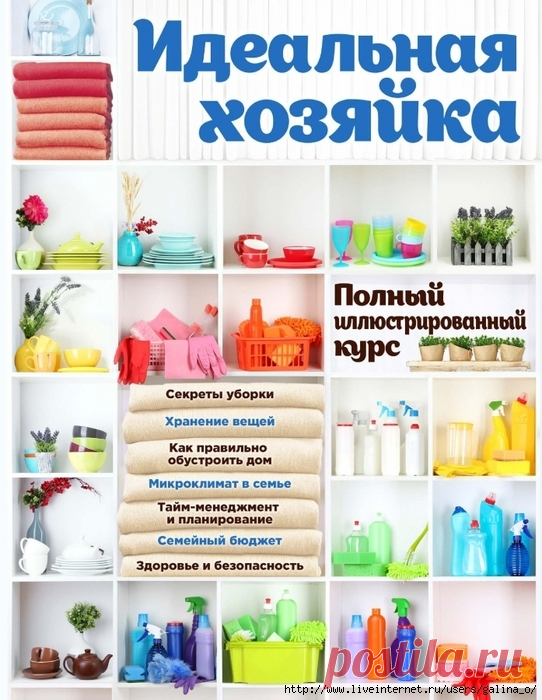 Идеальная хозяйка. Полный иллюстрированный курс.(2)