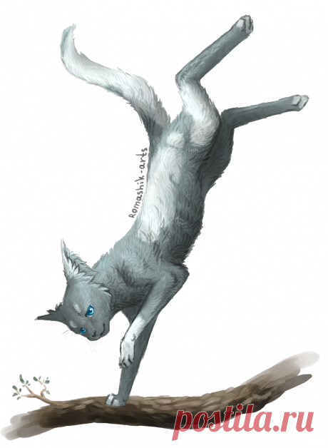 Cloudstar. Warriors by Romashik-arts on DeviantArt