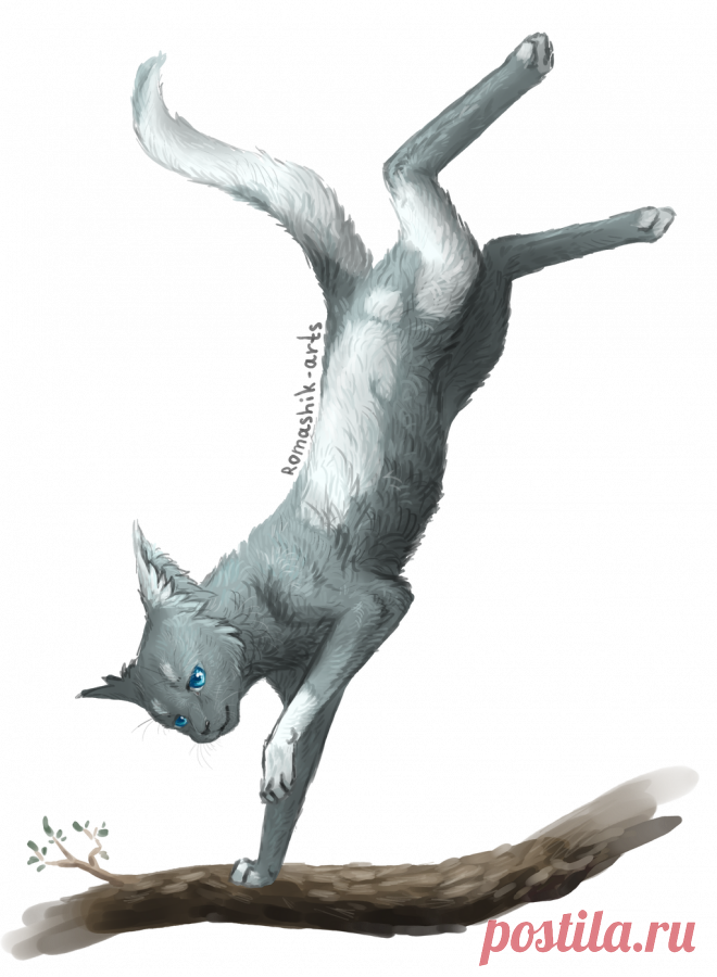 Cloudstar. Warriors by Romashik-arts on DeviantArt