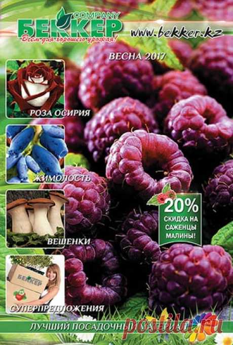 Энерген (стимулятор роста): купить почтой в Казахстане | Bekker.kz.