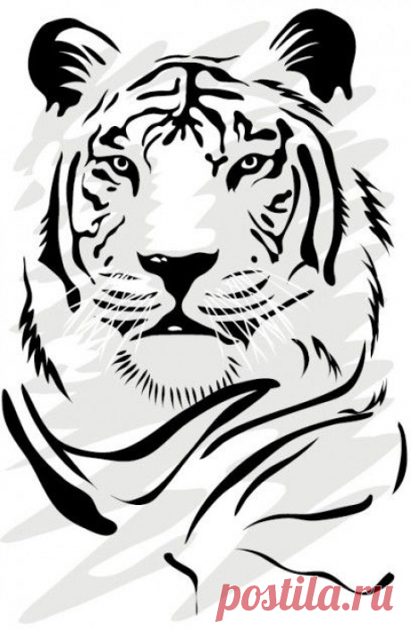 (55) Pinterest