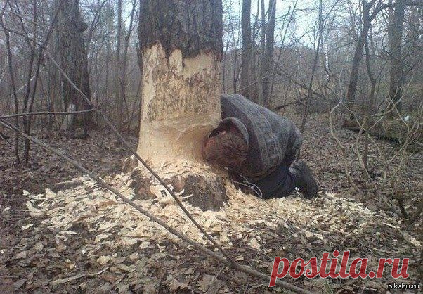 Приколы | Анекдоты