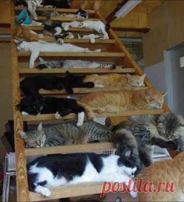 Тихий час...