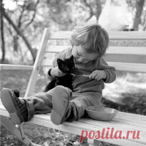 Эти забавные животные!
♔Викуля ♛Ковалева♔