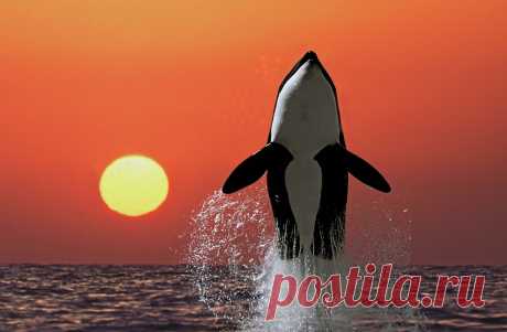 picture14.jpg (1050×688)