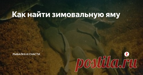 Как найти зимовальную яму Термин «зимовальная яма» возник в девятнадцатом веке. И изначально так называли локации скопления рыбы в зимний период на реках. Так как чаще всего такие места были на больших глубинах, их и стали называть зимовальными ямами. Наблюдая за варварским уничтожением рыбы на таких местах, люди стали задумываться об охране таких мест, и пол с середины двадцатого века ввели запрет на вылов рыбы в пределах