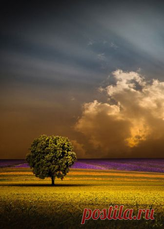 La Soledad es bella…