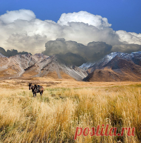 35PHOTO - Tina Grach - Сивка-Бурка