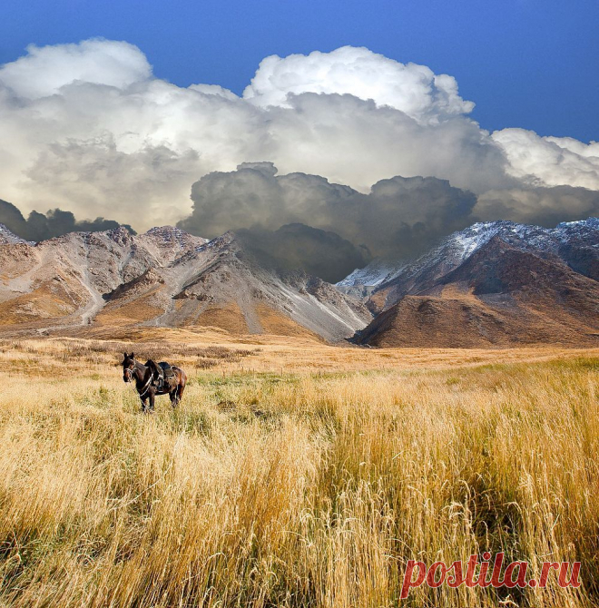 35PHOTO - Tina Grach - Сивка-Бурка