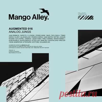 VA - Augmented 016 / Analog Jungs