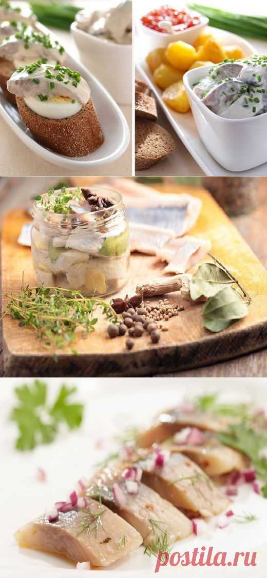 Наиболее популярные вкусные маринады для сельди
