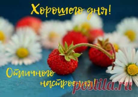 Все, что нужно знать о питании, чтобы выглядеть моложе и чувствовать себя прекрасно! Кожу можно и нужно подпитывать изнутри, это поможет справиться с признаками старения. И грамотный подход к питанию здесь очень важен. От питания зависит насколько быстро постареет ваша кожа, появятся морщины и проявятся все прелести старения. | Женский Мир в Открытках | Яндекс Дзен