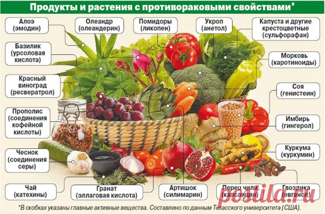 Статьи по онкологии - популярные и научные публикации для пациентов