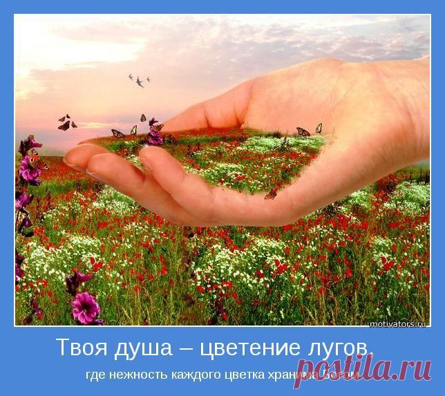 =ЗДОРОВЬЕ - Мудрых Гонорар + долголетие жизни=.